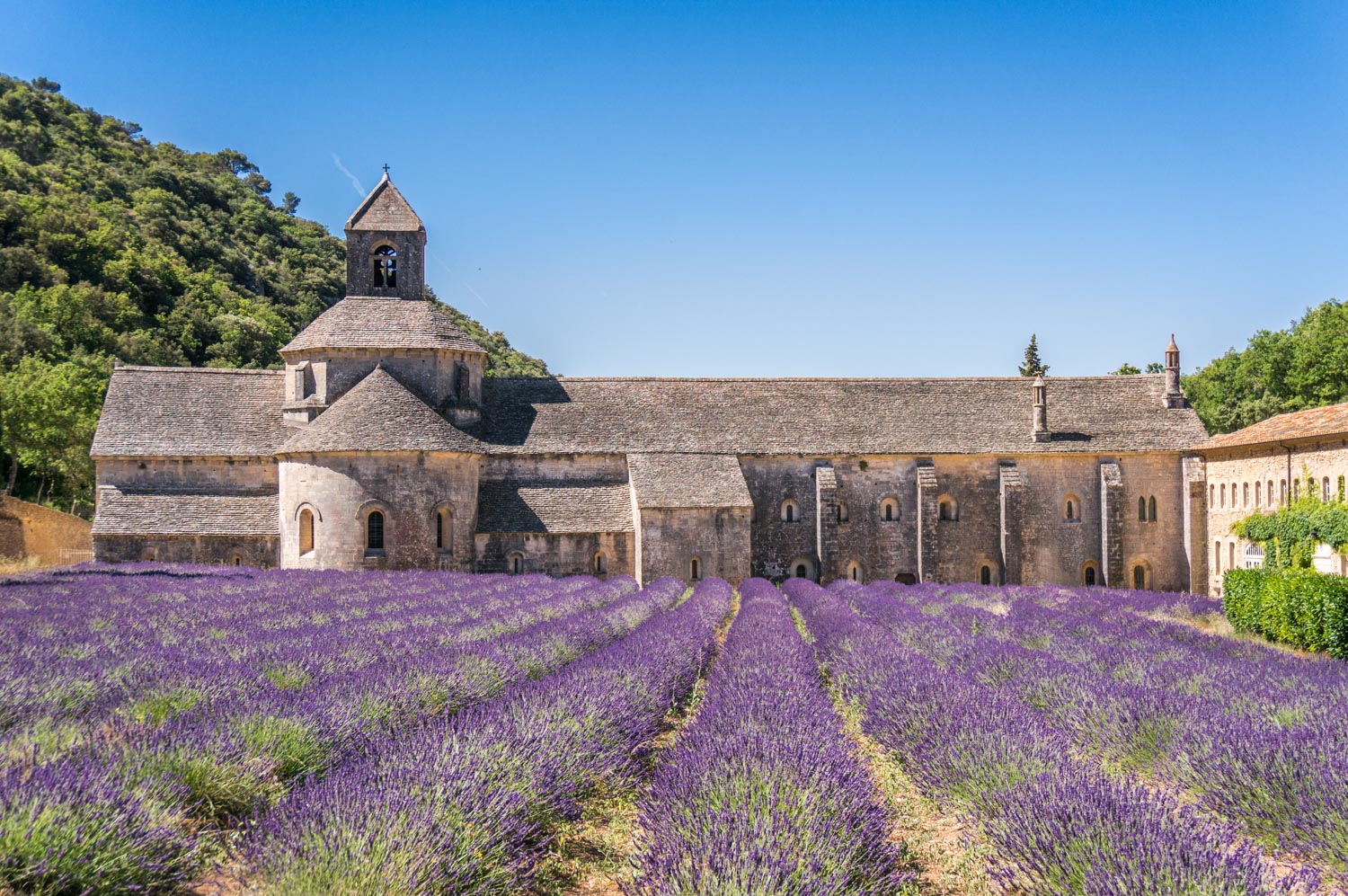 A month in France – Abbaye de Senanque and birthday lunch in Roussillon