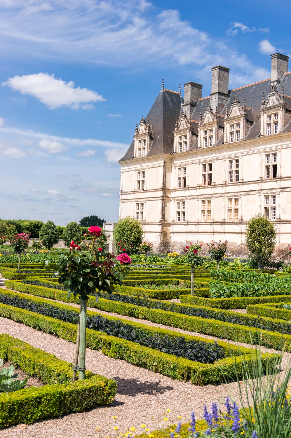 A month in France – Château de Villandry