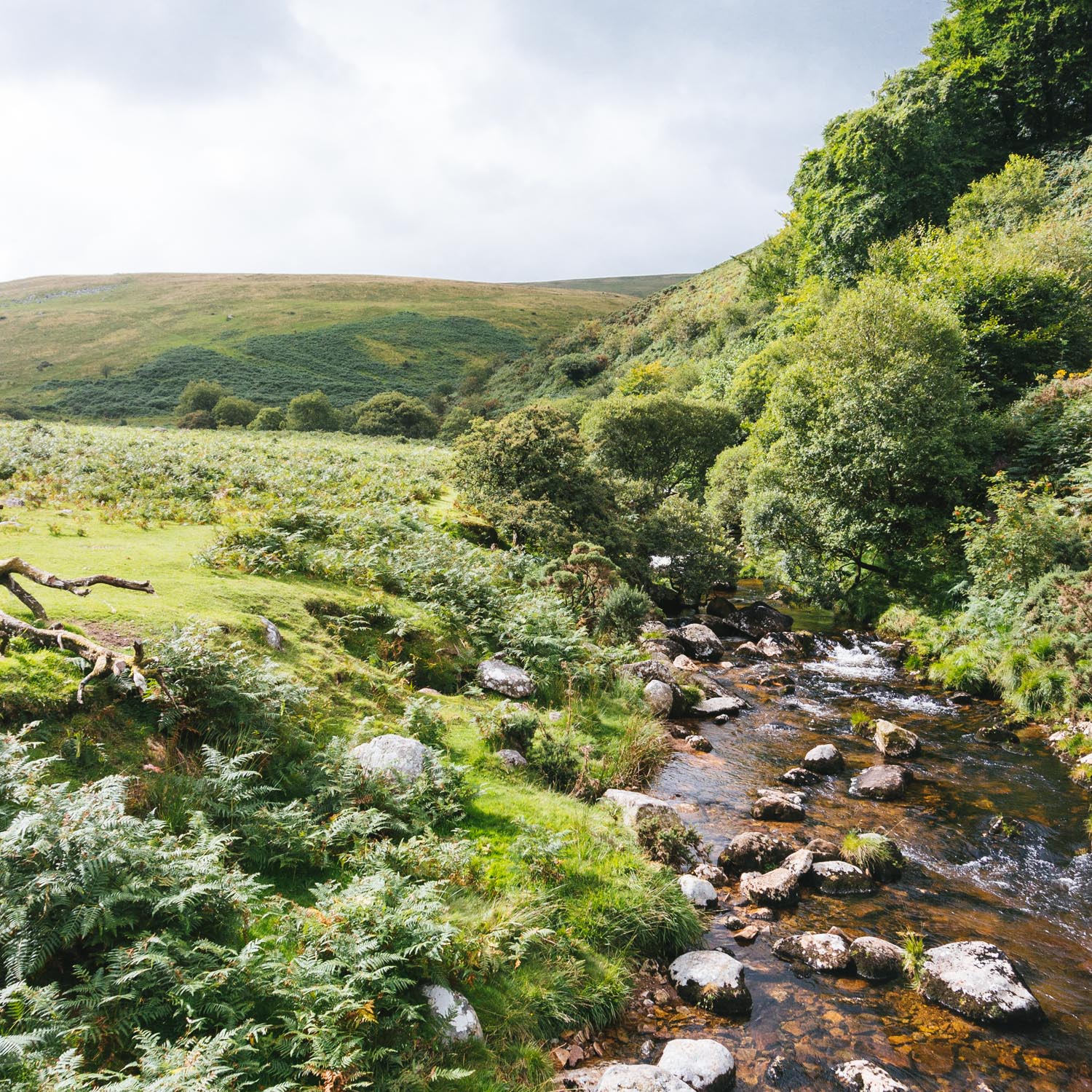 A week in Devon – Dartmoor hike