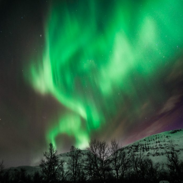 Tromsø – Northern Lights tour