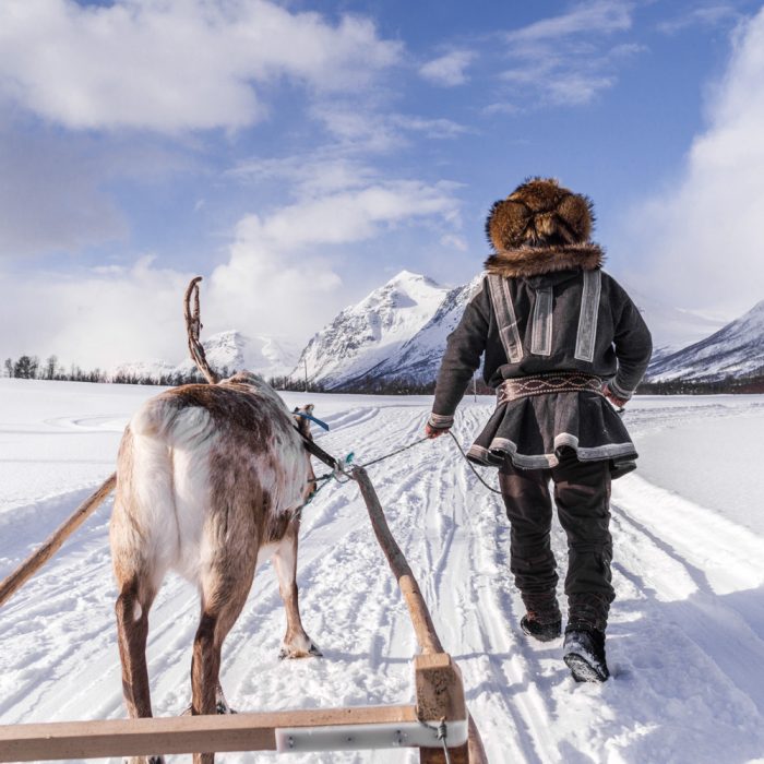 Tromsø – reindeers and Sámi culture tour