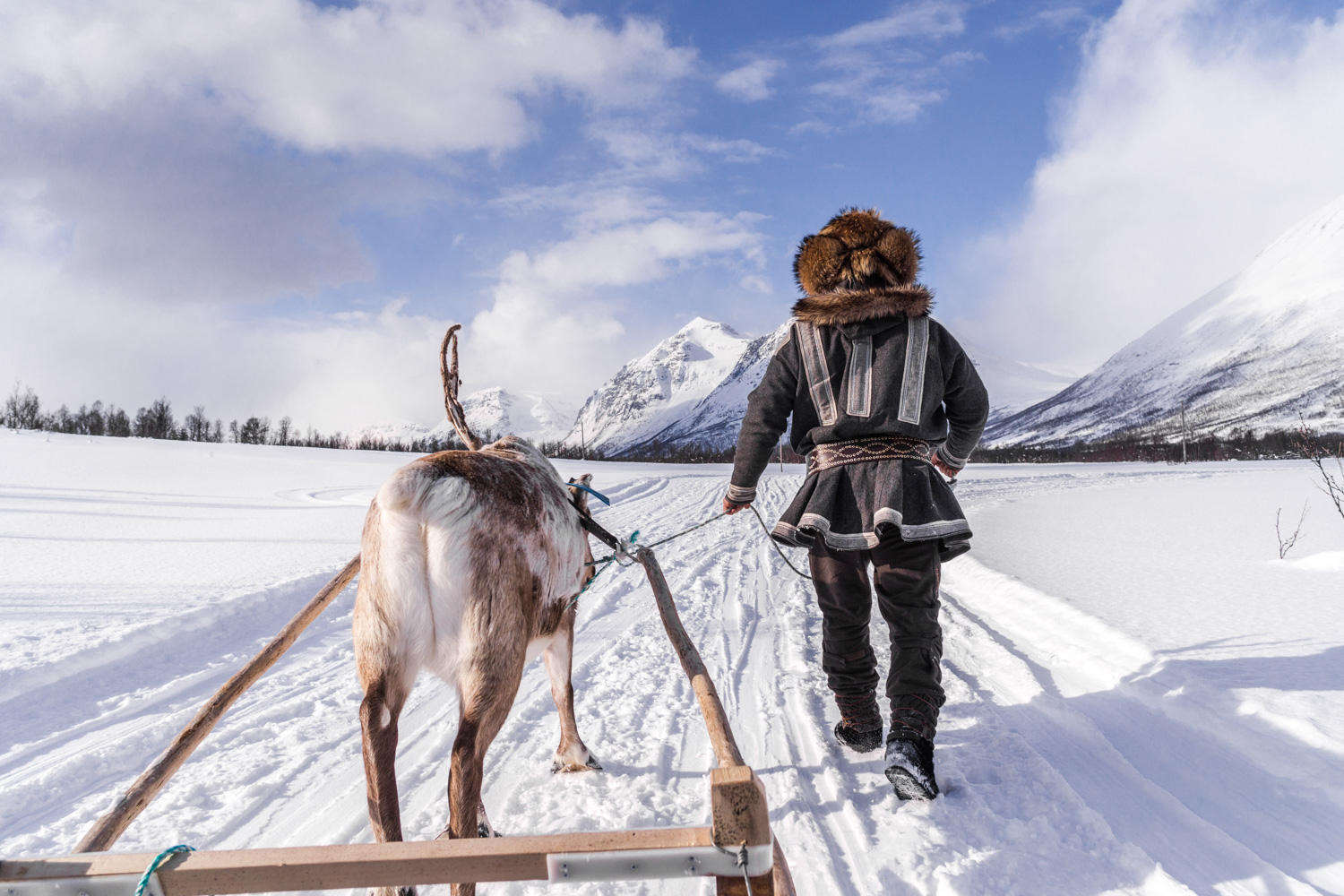Tromsø – reindeers and Sámi culture tour