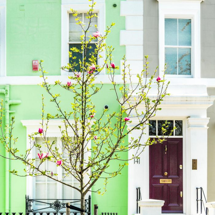 Spring in Notting Hill