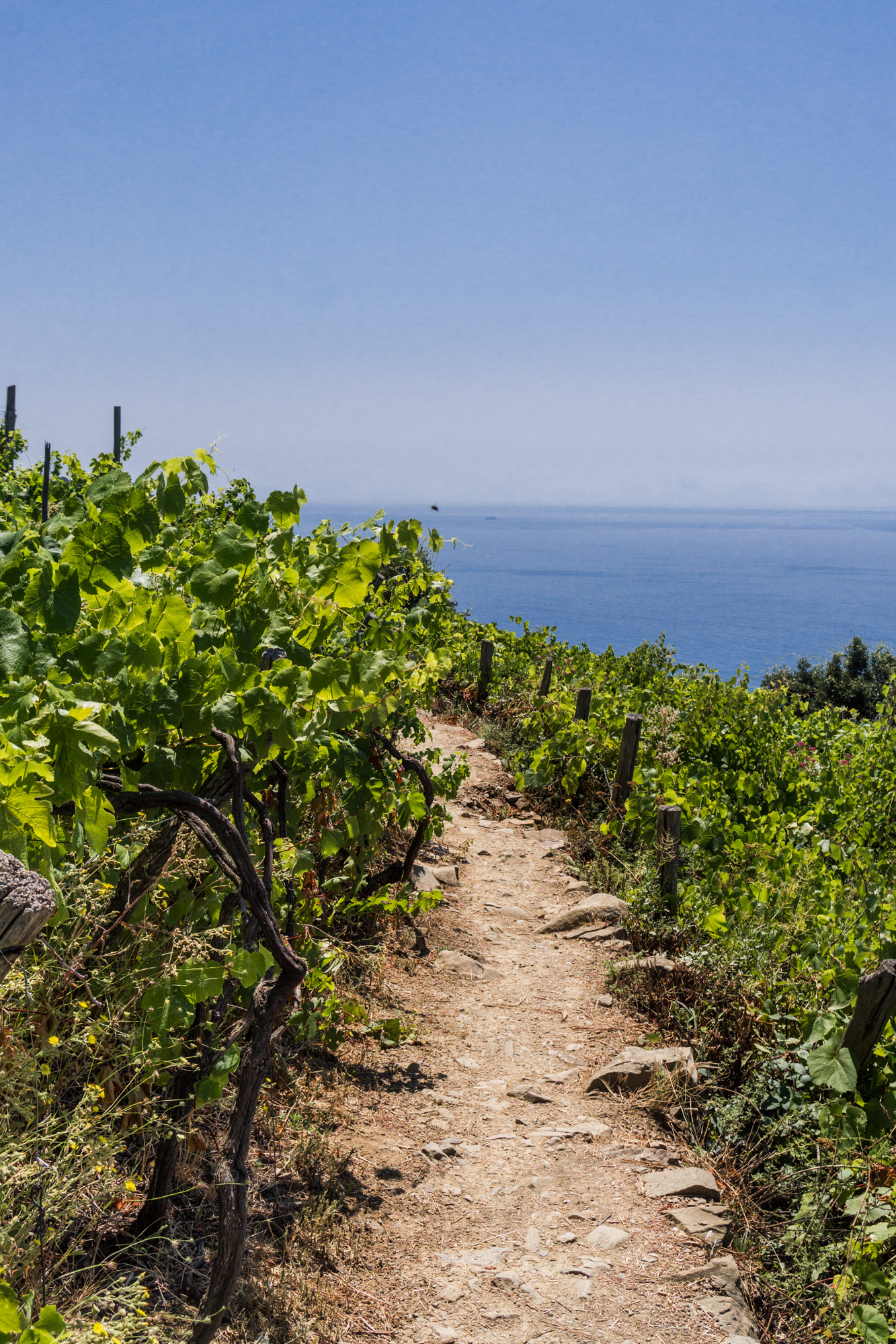 A guide to: walking the Cinque Terre path in a day