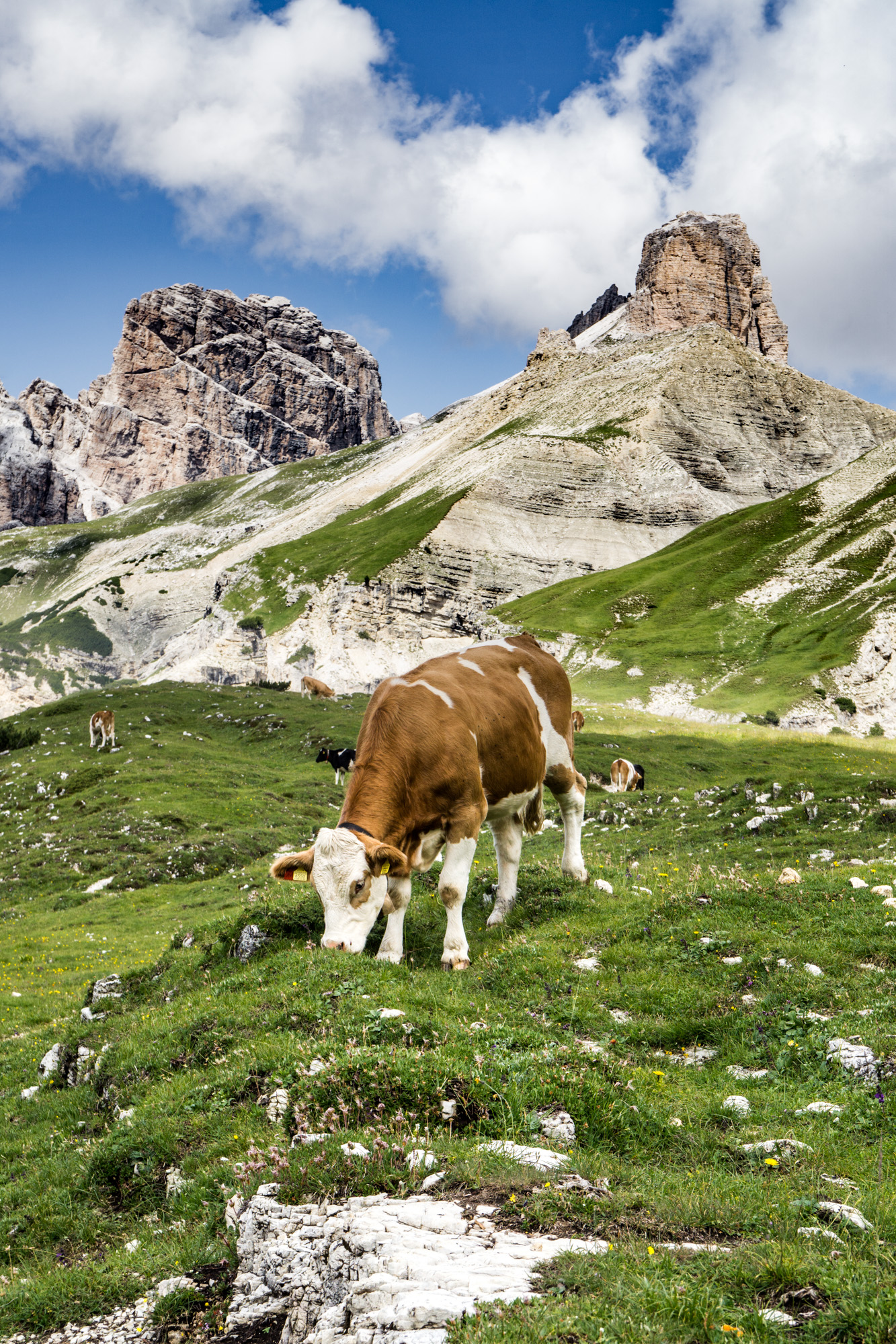 France/Italy roadtrip – Dolomites, part 2