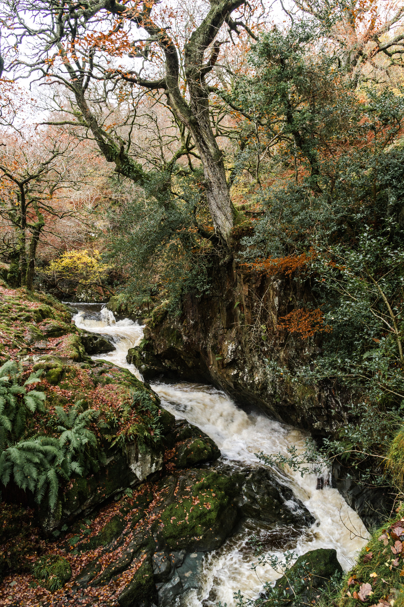 The Lake District – day 3, Aira Force